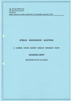 Audit LL 2025